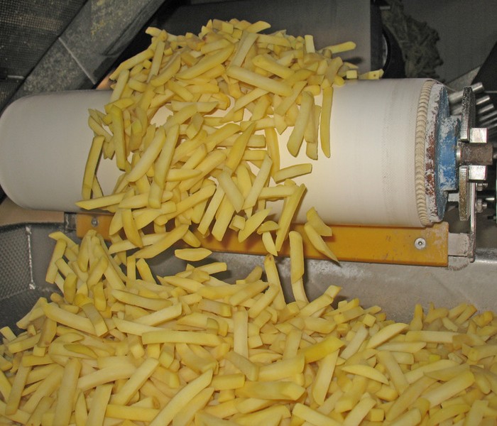 Frietproductie Belgische frieten