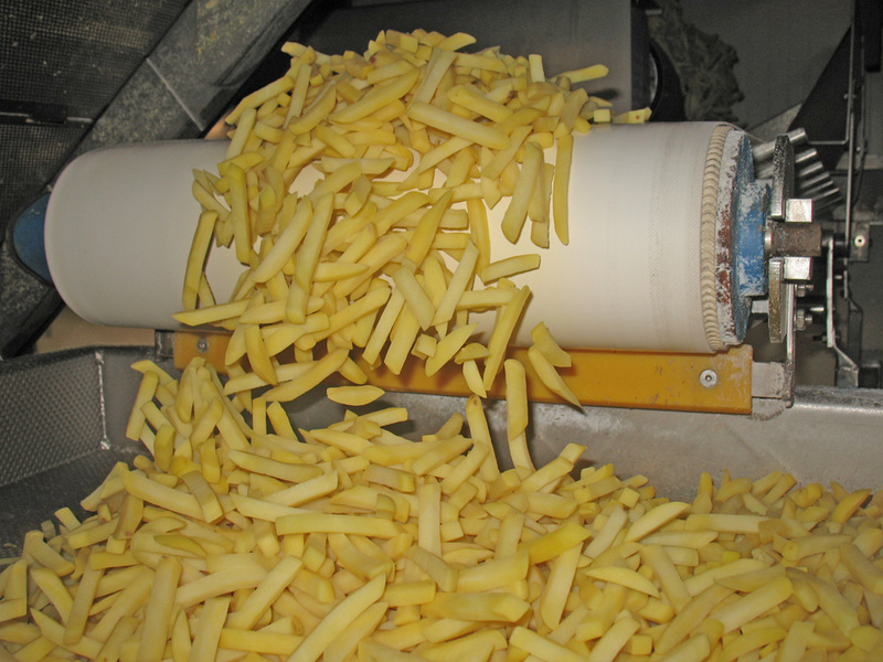 Frietproductie Belgische frieten